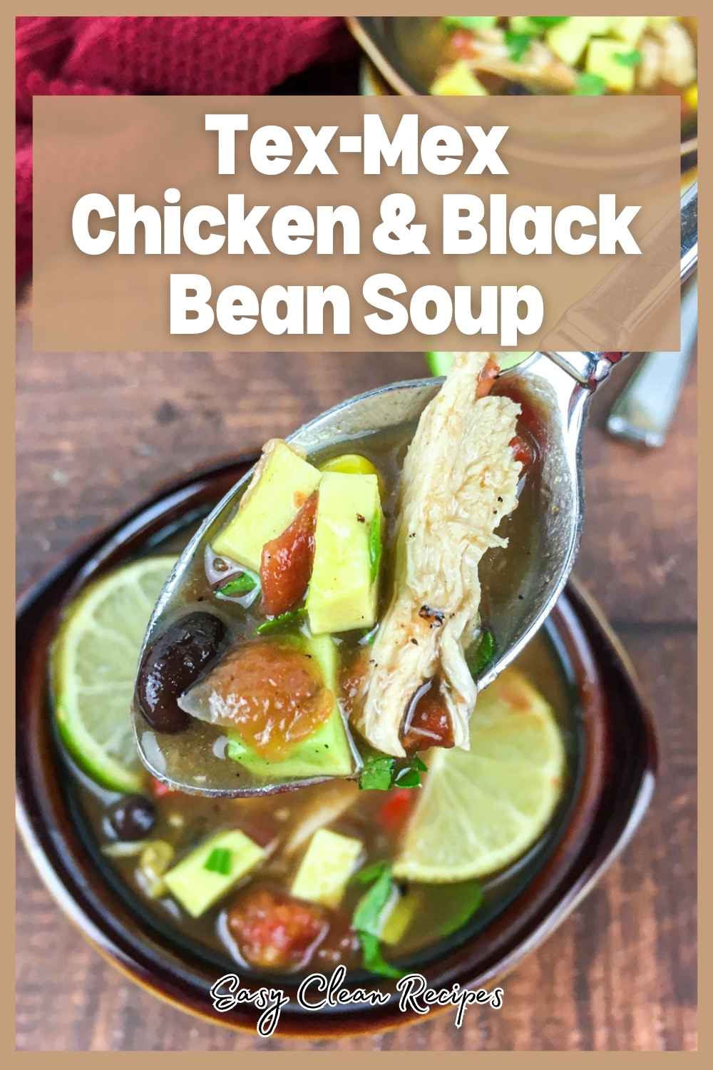  Tex-Mex Chicken & Black Bean Soup
